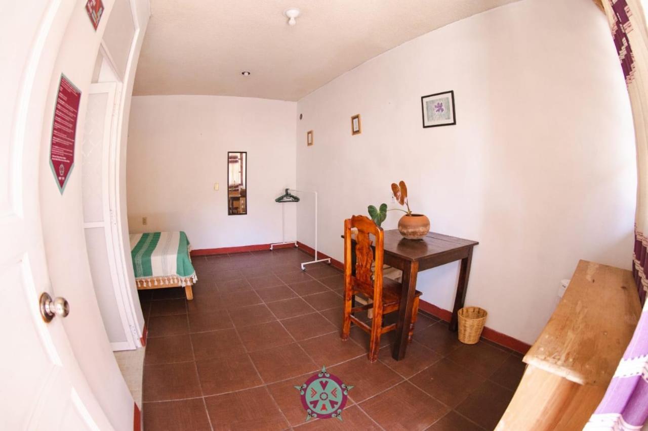Hostal Alegria De Oaxaca Kültér fotó