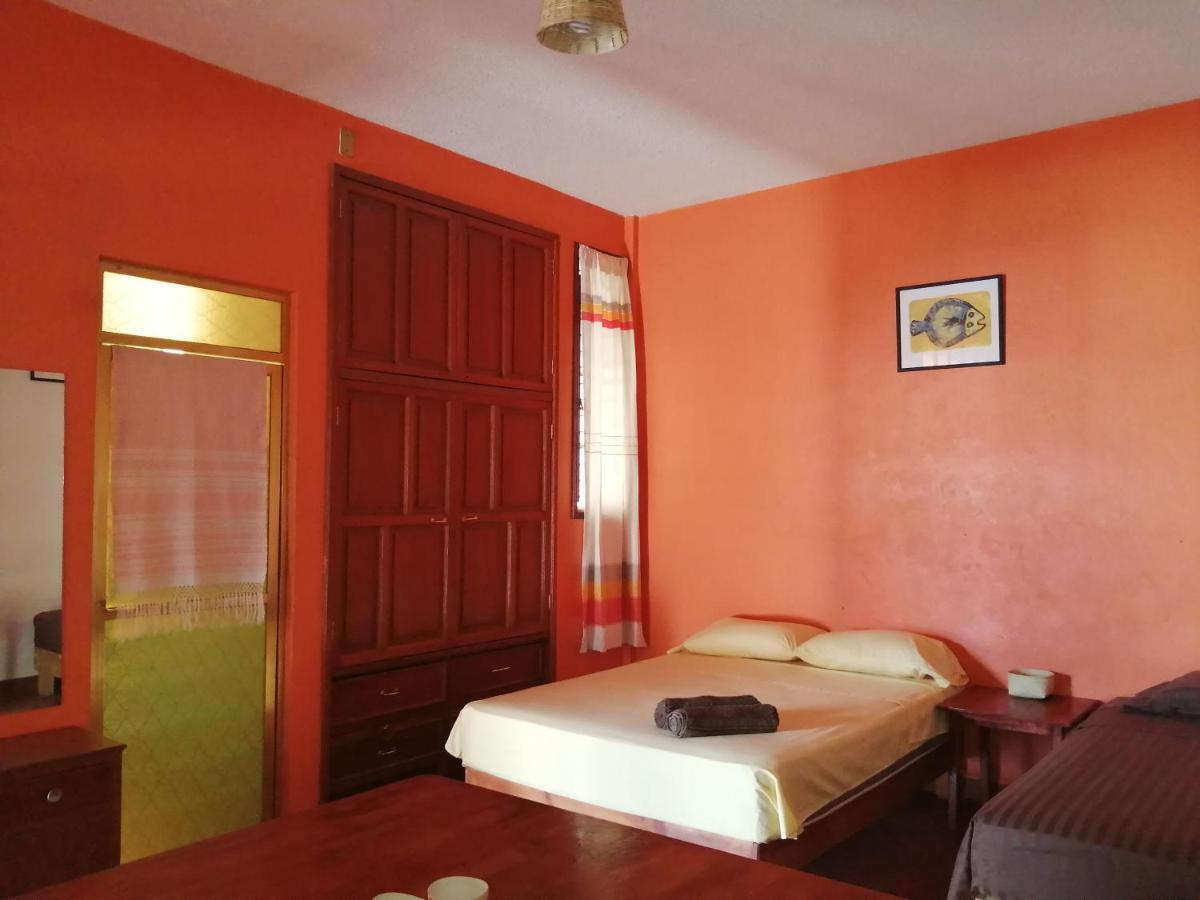 Hostal Alegria De Oaxaca Kültér fotó